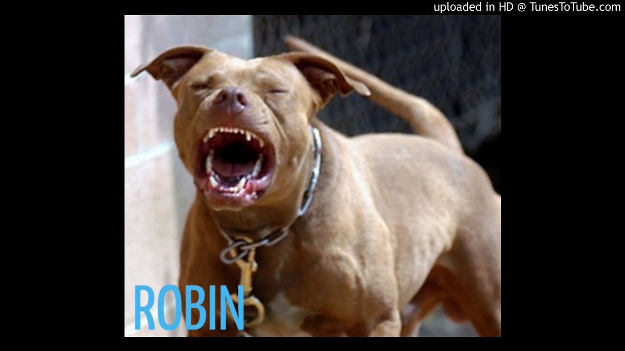 FREE Dogs Barking Type Beat.