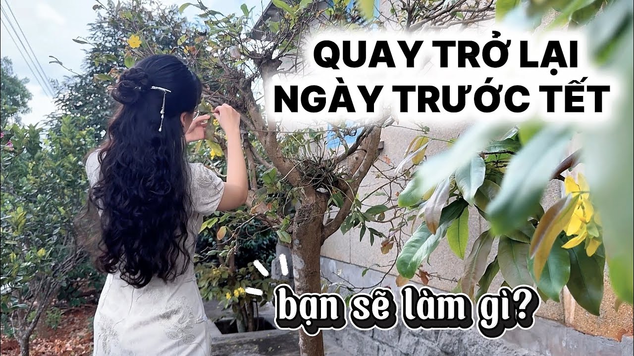 Du hành về quá khứ: Quay lại ngày trước Tết bạn sẽ làm gì? | Kim Liên Pi-Vi 