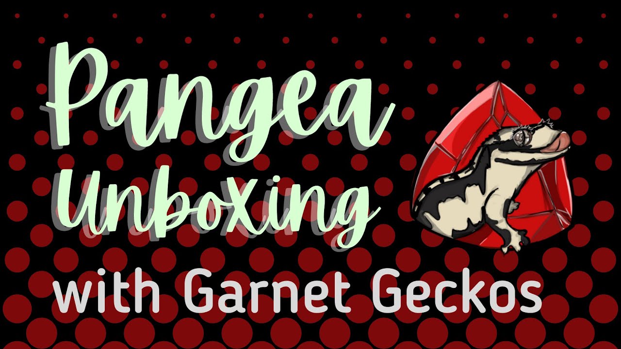 Pangea Unboxing
