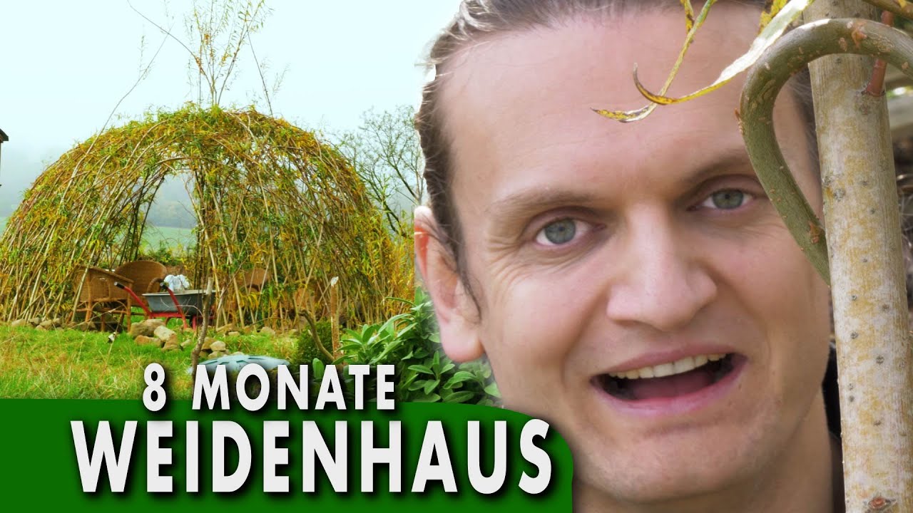 WEIDEN-HAUS und WEIDEN-ZAUN nach 8 Monaten | Naturbauten der Neuen Erde