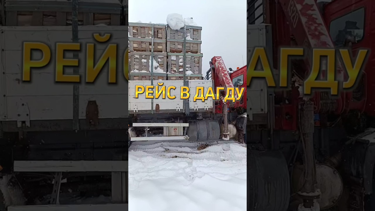 2ой РЕЙС В ДАГДУ #дрова #береза