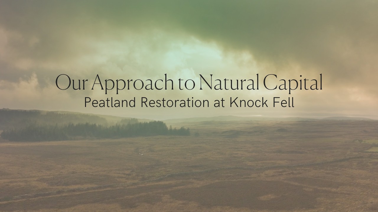 Peatland Restoration at Knock Fell, Galloway | Foresight Natural Capital
