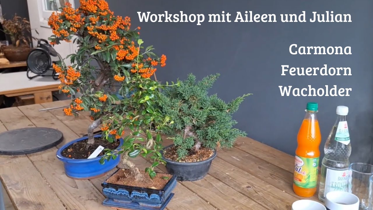 Kleiner Workshop