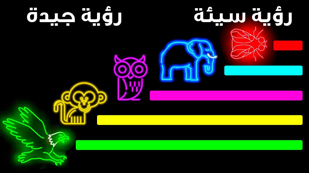 حيوانات ترى العالم ليس كغيرها من المخلوقات
