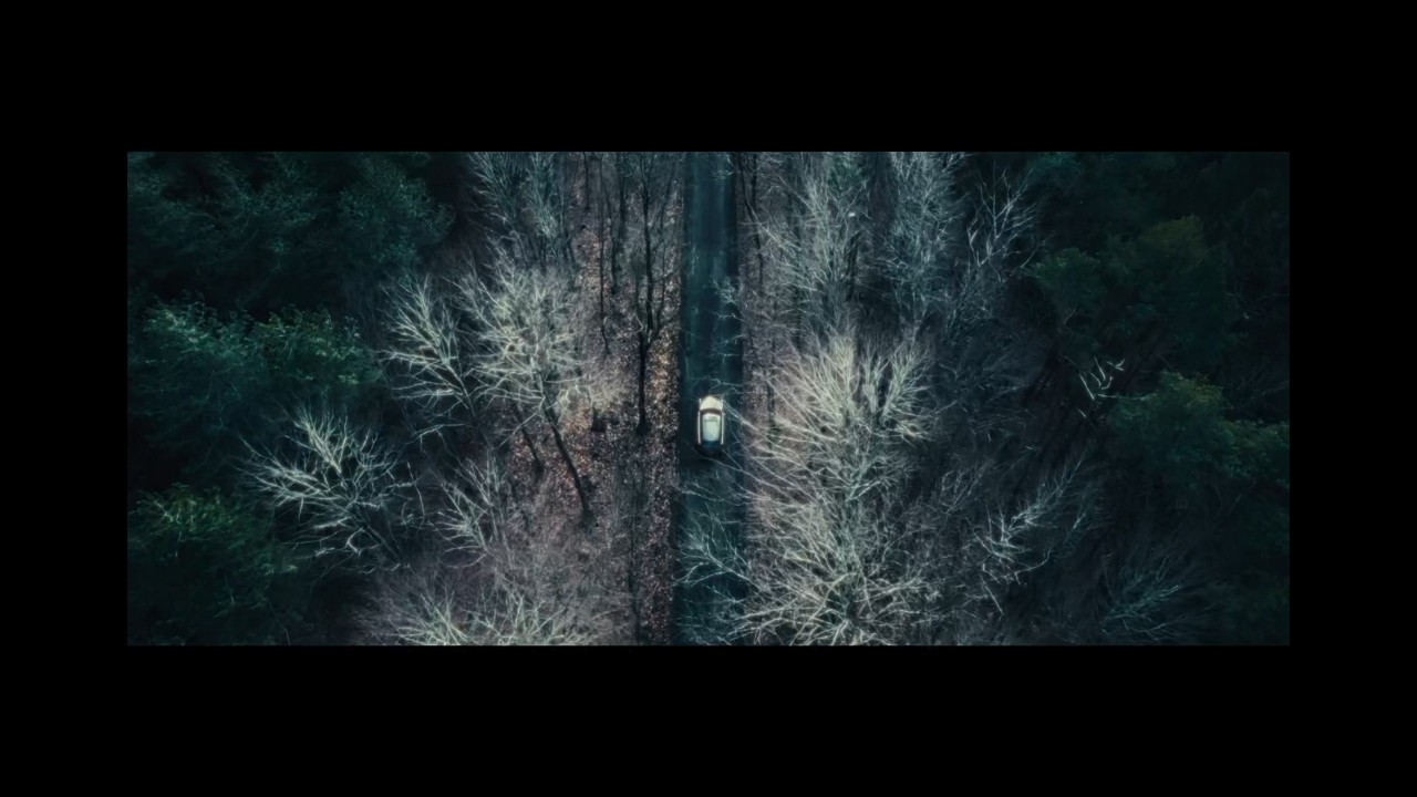 LA TIMIDITÉ DES ARBRES - OFFICIAL VIDEO