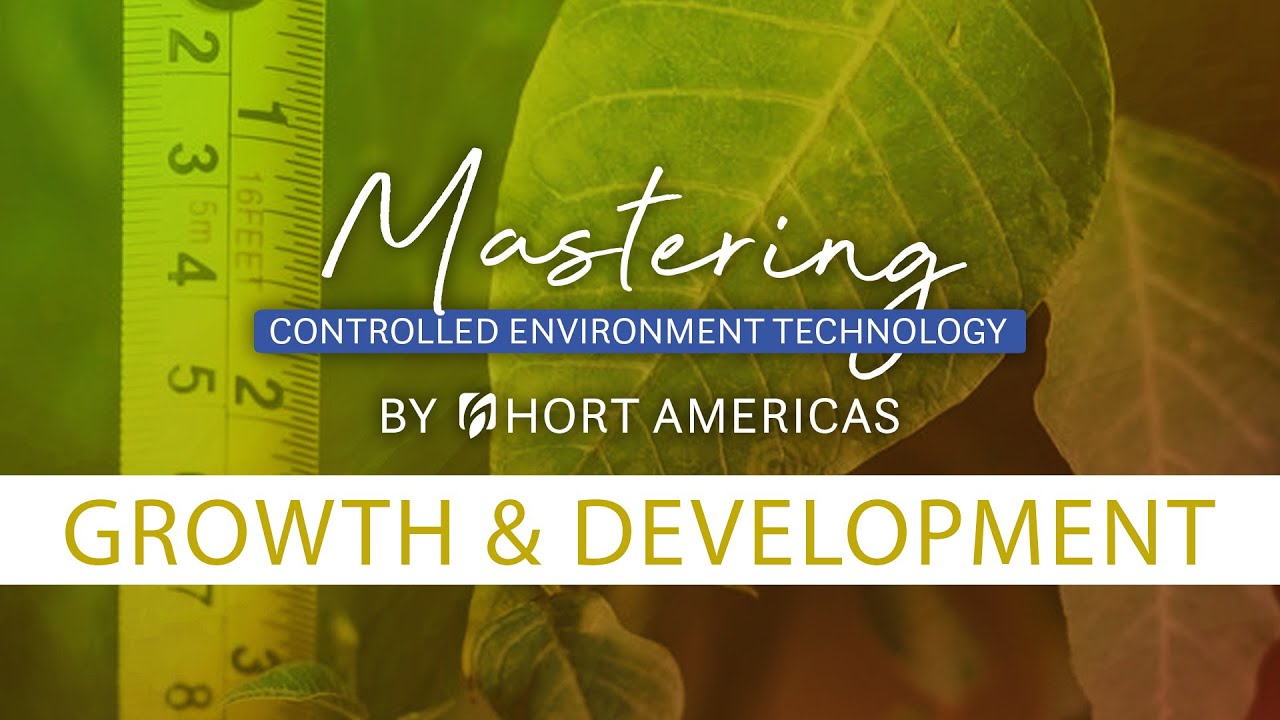 Mastering Growth and Development | How to evaluate growth and development in your crops