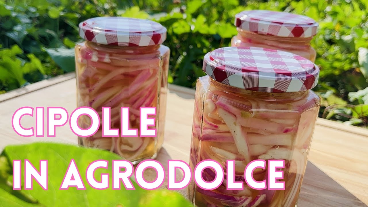 CIPOLLE ROSSE IN AGRODOLCE | Pochi passaggi per un contorno delizioso | Conserve