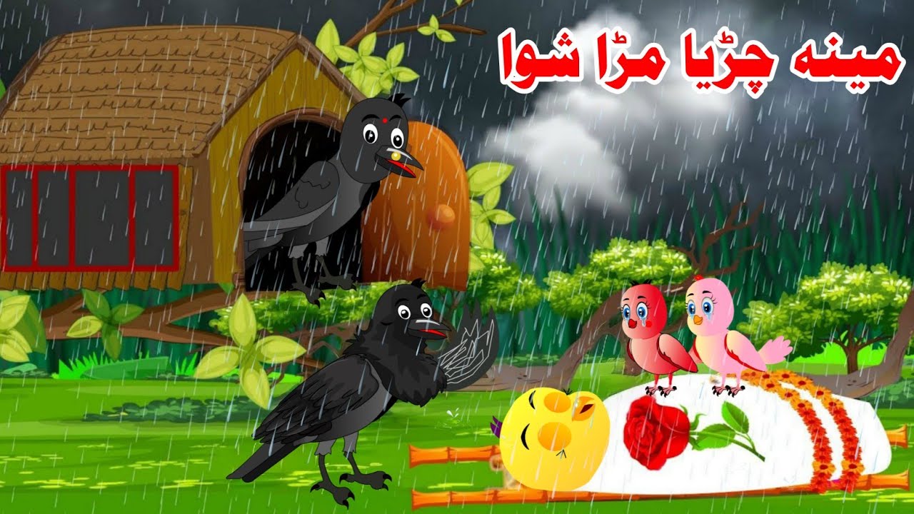 Meena Chirya Wafat Shwa || Pashto New cartoon 2025 || Pashto Junior Tv.
