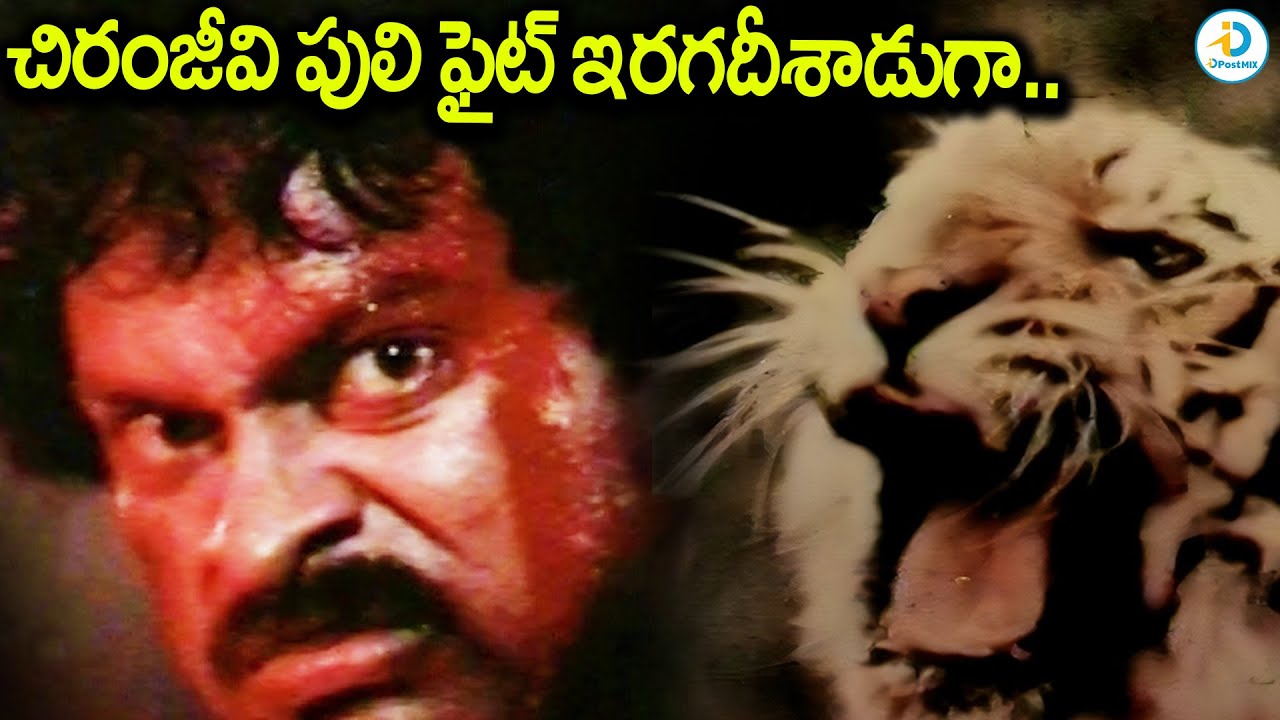 చిరంజీవి పులి ఫైట్ ఇరగదీశాడుగా | Chiranjeevi Puli Movie Powerful Fight Scene | iDream TV