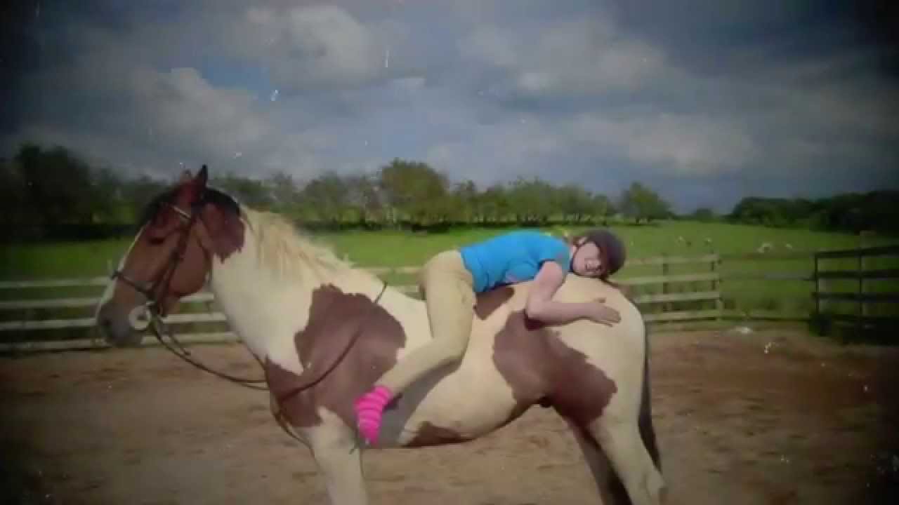 Murphy - My Horse of a Lifetime [Our Journey]