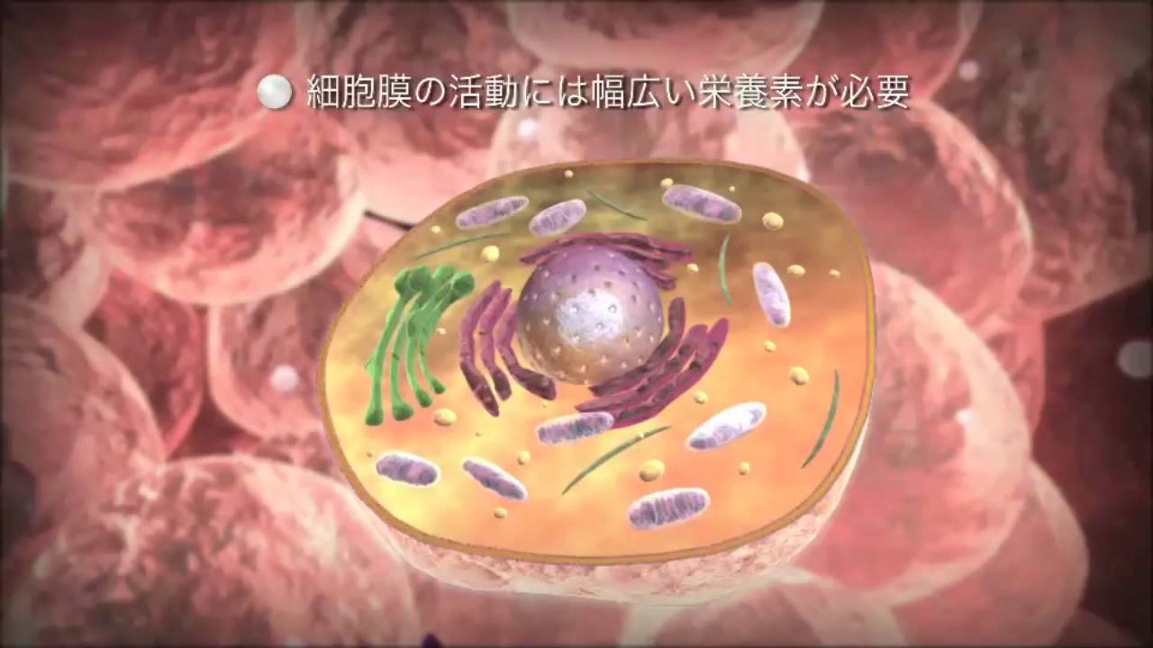 細胞の世界 《SAB：アリアンナ・カルーギ博士》