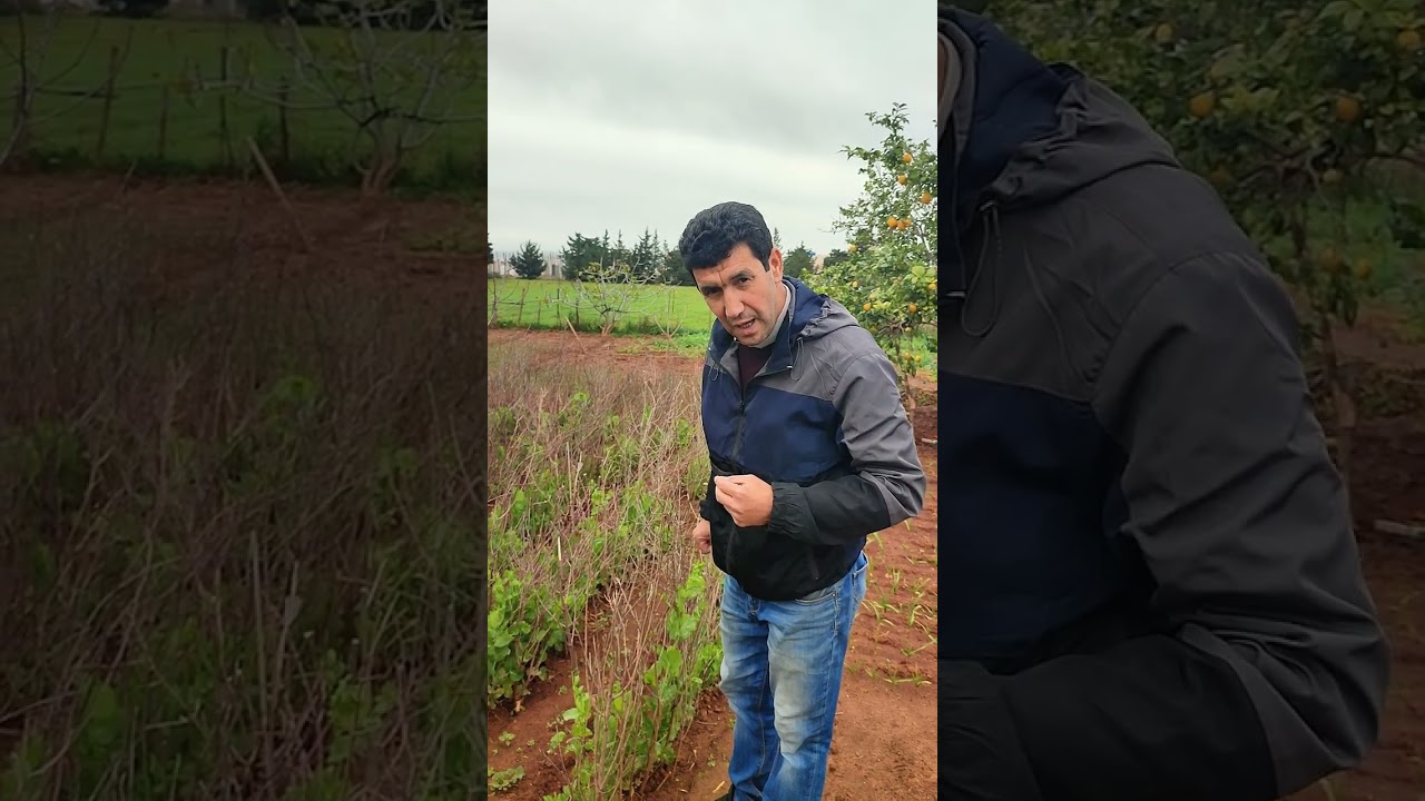 @Au jardin potager, une sécurité alimentaire pour la famille