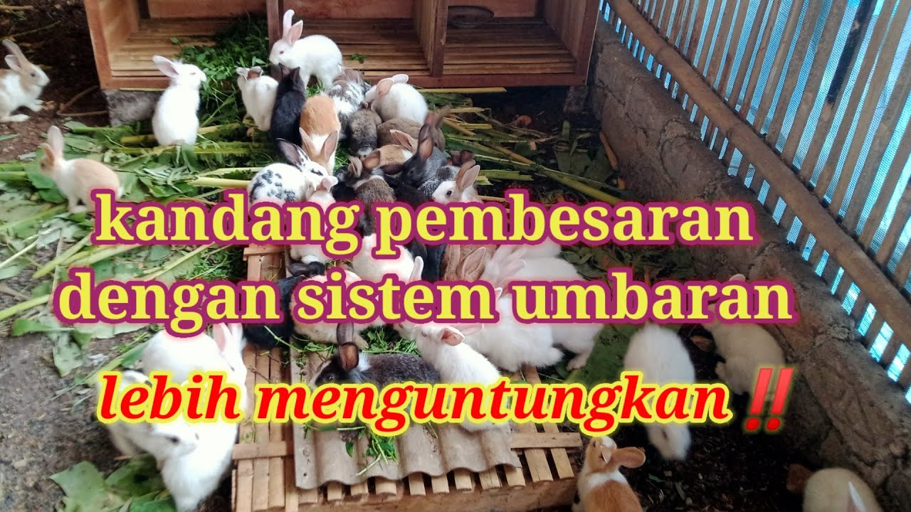 Sistem umbaran lebih menguntungkan