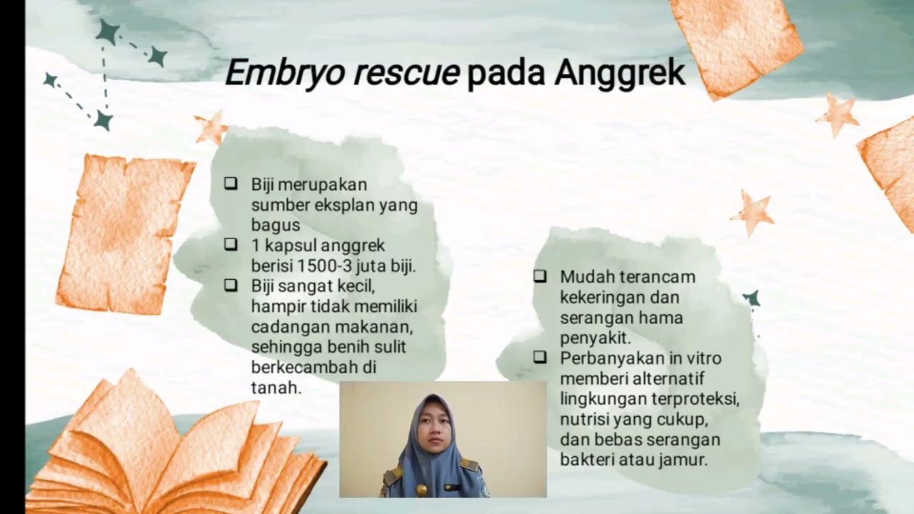 Kultur Embrio || Tipe-tipe Kultur Jaringan