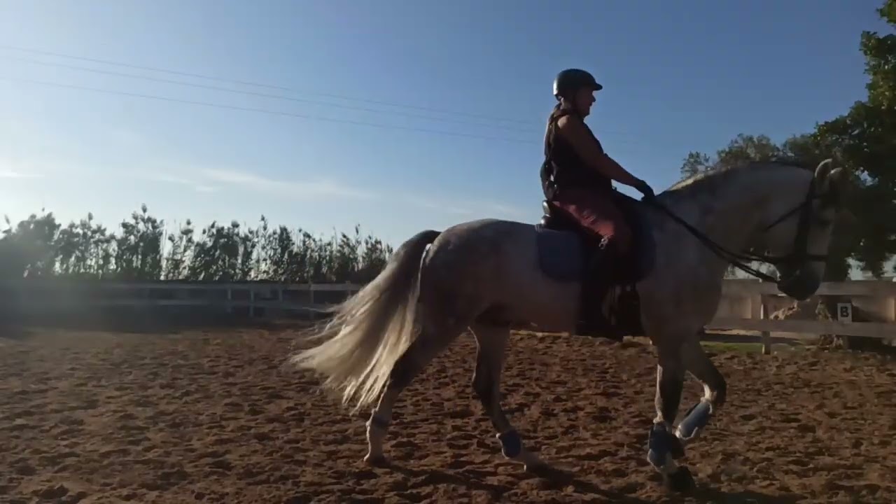 Escultor Nov 1 2025 3 x changes