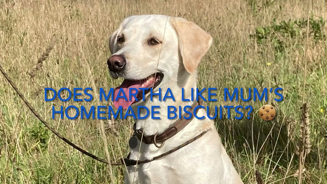 Home made doggy biscuits 