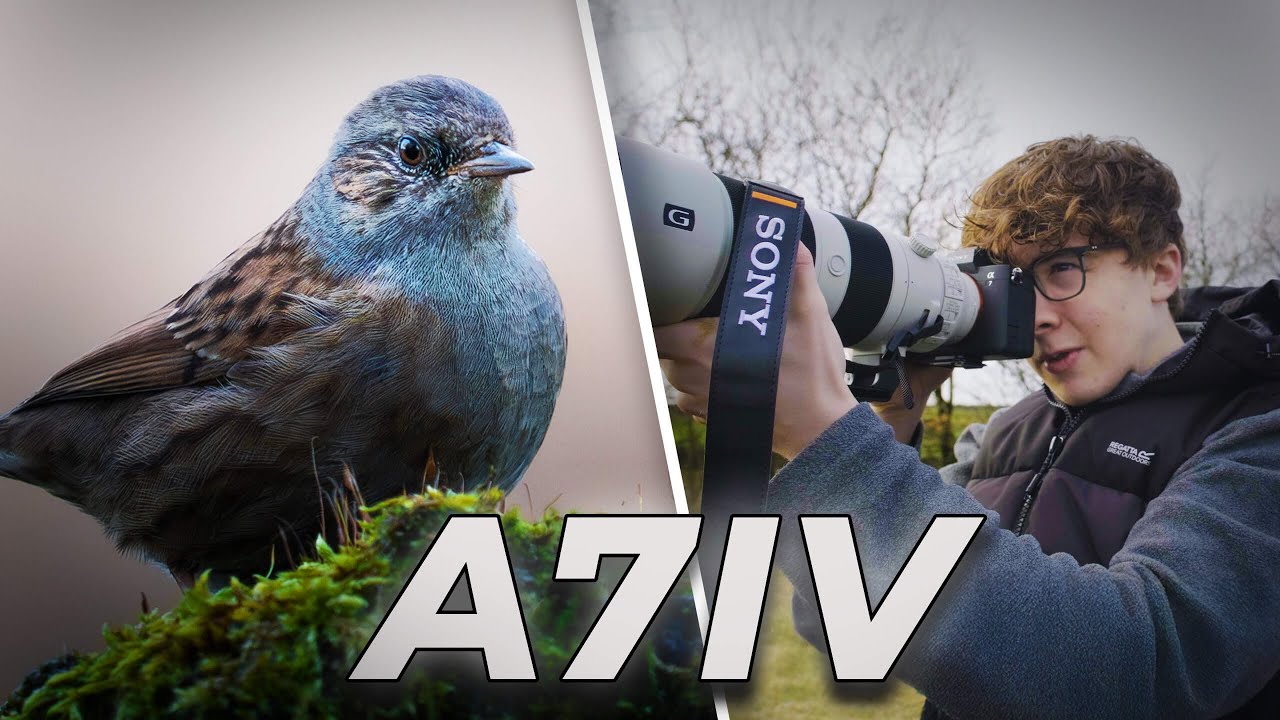 Relaxing morning nature photography vlog - Sony A7IV