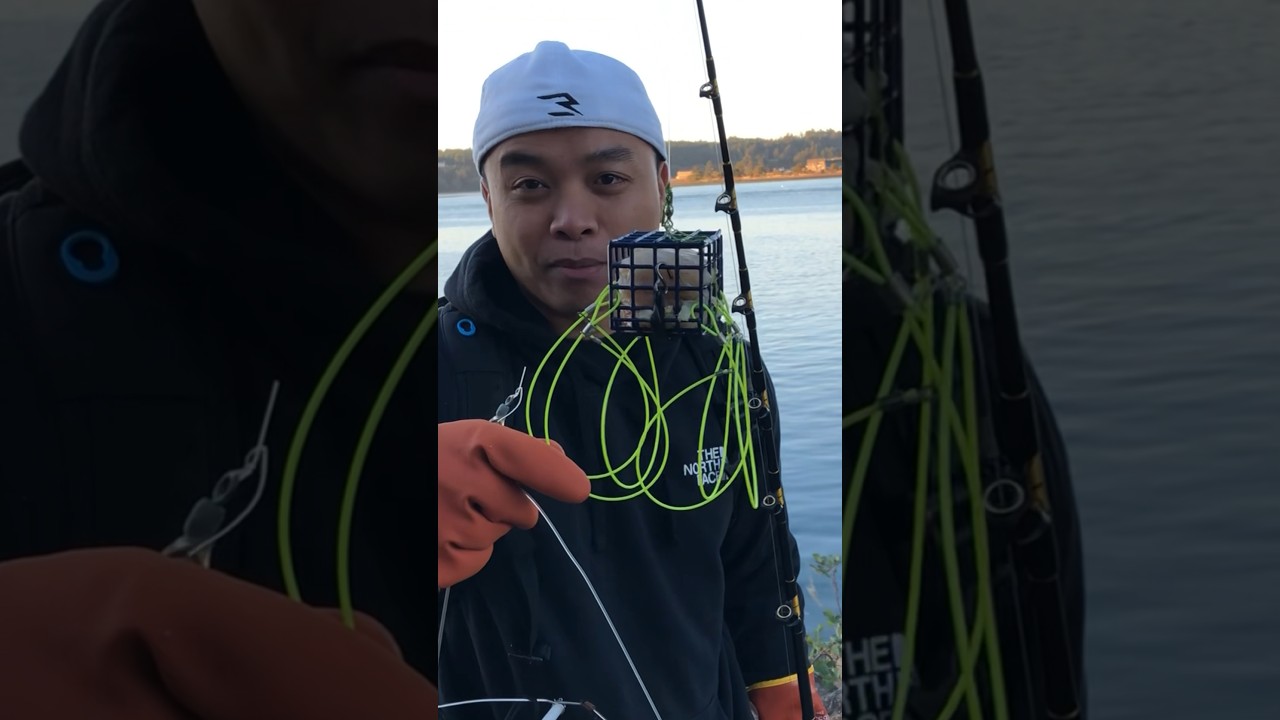 Crab Snare & Crab Hawk which one is better??
