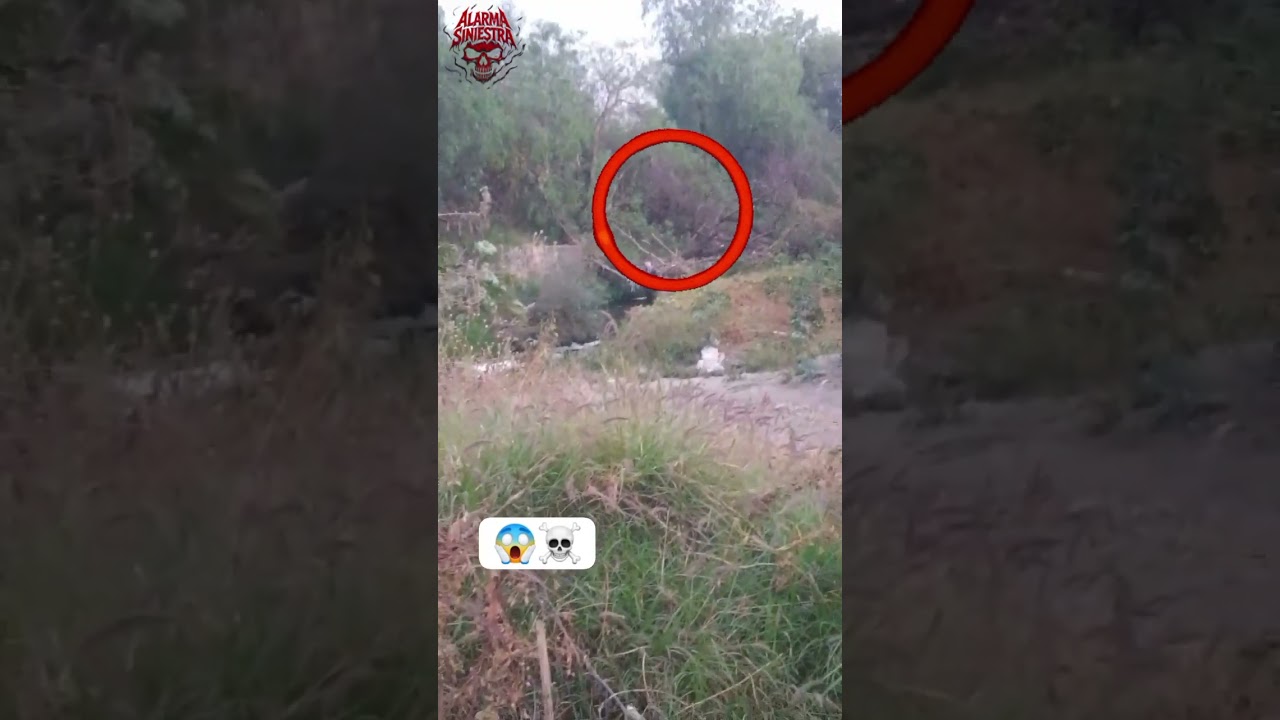 algo raro es captado en cámara 