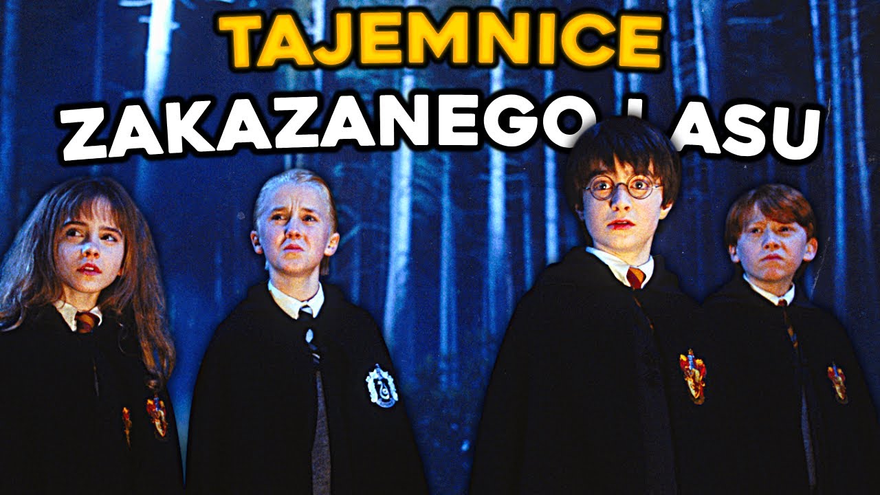 SEKRETY ZAKAZANEGO LASU #harrypotter