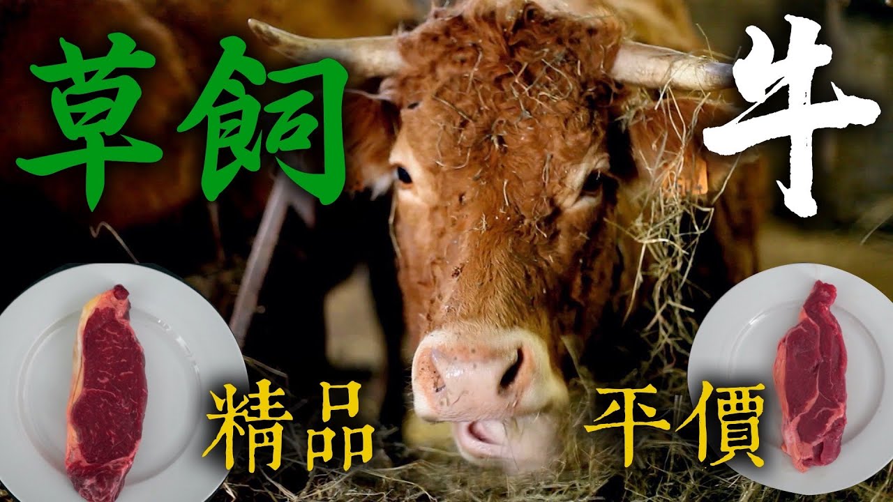 草飼牛比穀飼牛更美味？精品/平價 草飼牛 PK