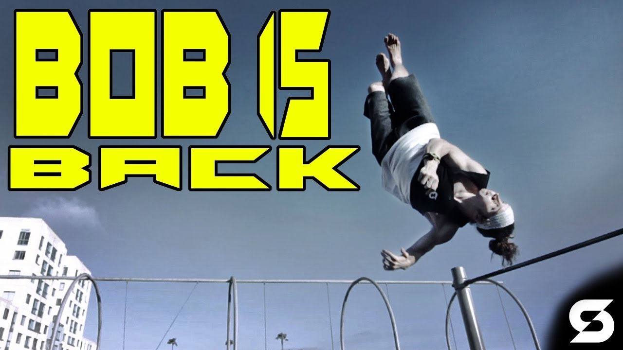 Bob Is Back