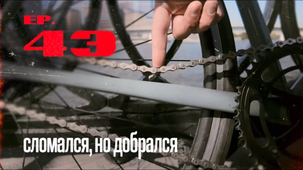 43. gosr 2025