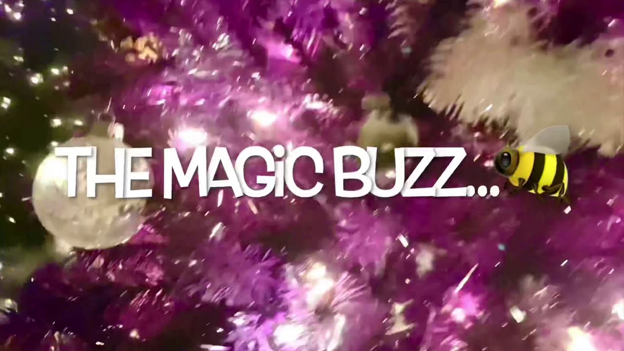 🌟 Starring ✨The Magic Buzz...💫