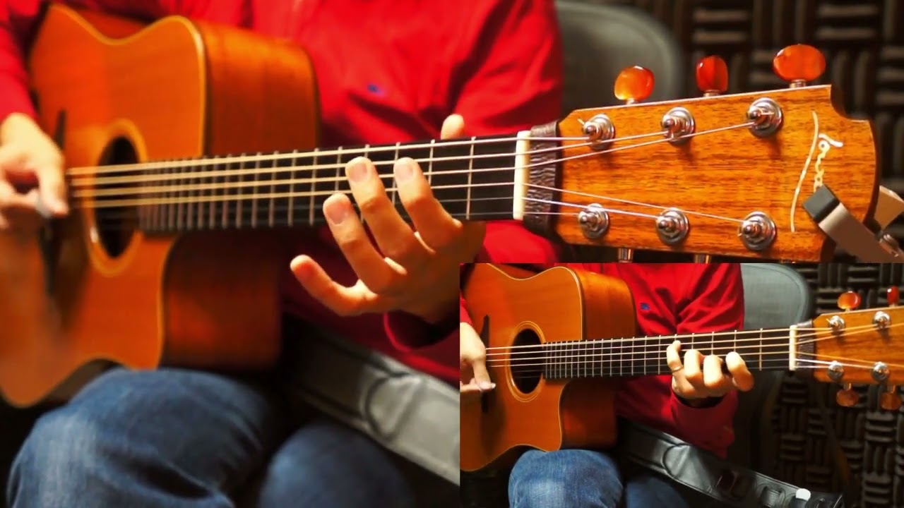 Irish Guitar - The Blarney Pilgrim(JIG)