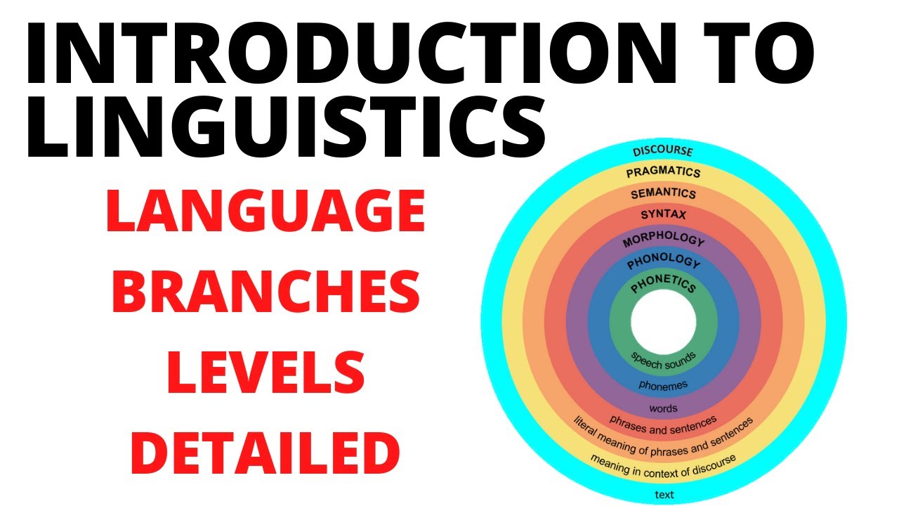 What is linguistics? | Branches of Linguistics | Introduction to Linguistics| Levels of Linguistics