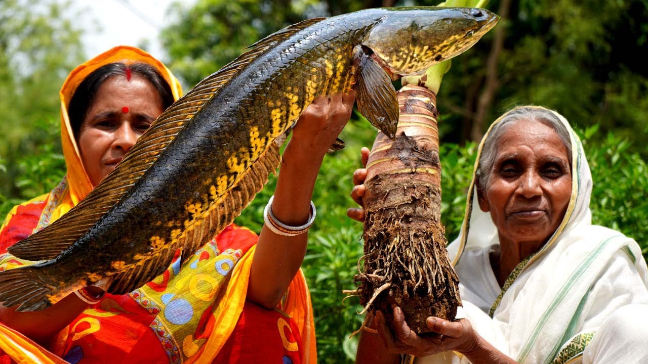 Village Food- Man Kachu Diye Shol Mach Recipe prepared for Grandmother | villfood