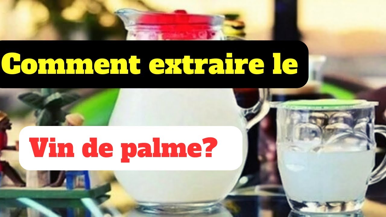 Comment extraire du vin de palme dans vos plantations de palmier à huile ?