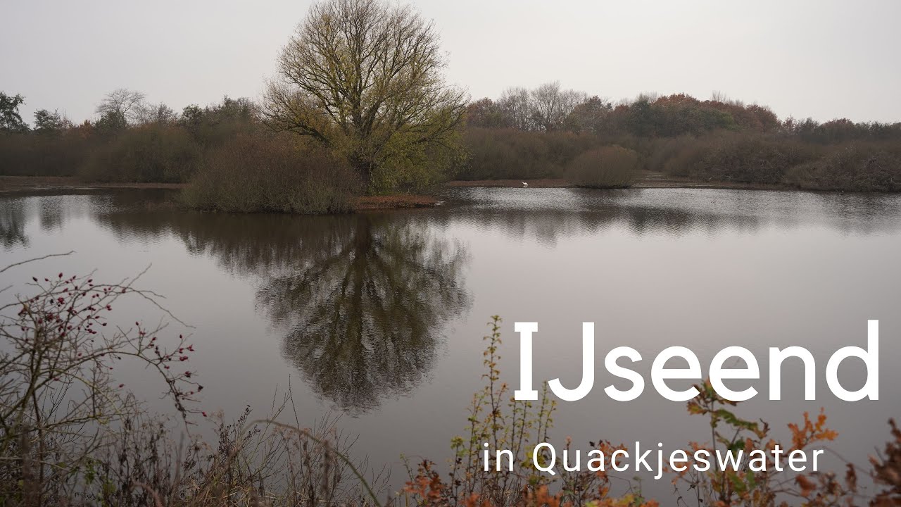 IJseend in Quackjeswater #813