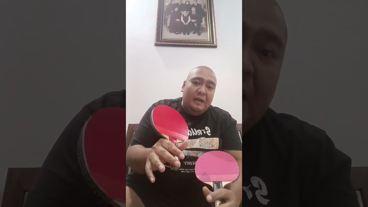 Perbandingan Antara kayu Butterfly FZD ALC vs Butterfly Jun Mizutani ZLC