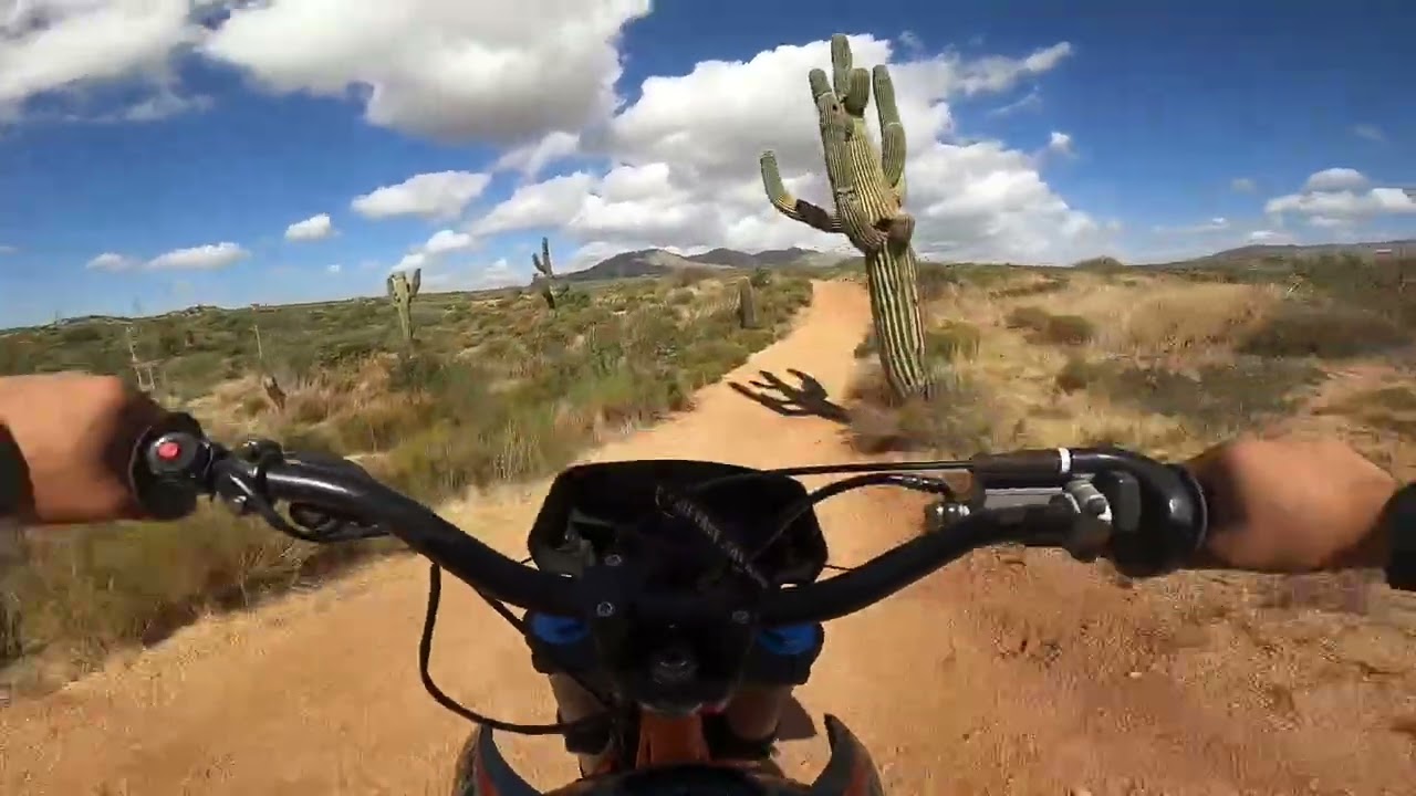 Wildcat OHV session using venom thunder 125cc