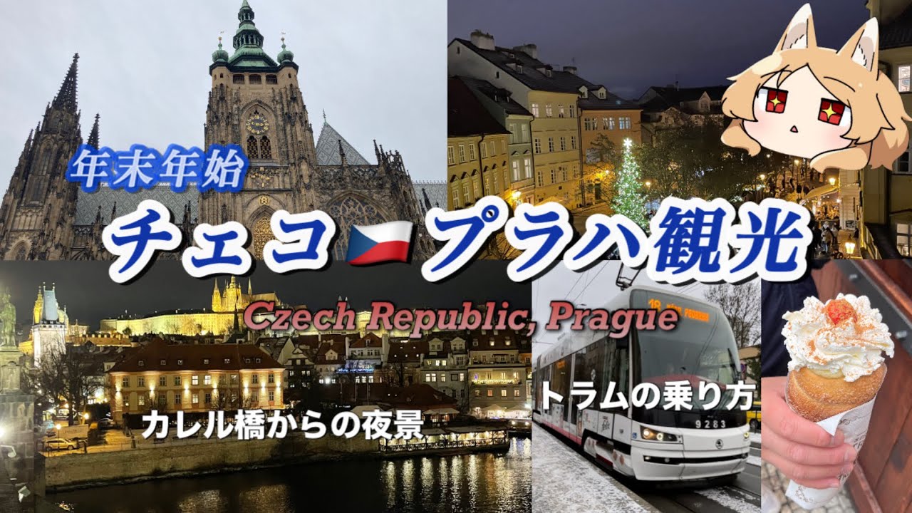 【チェコ🇨🇿】冬のプラハ観光&年越し【電車・トラムの乗り方】Czech Republic, Prague
