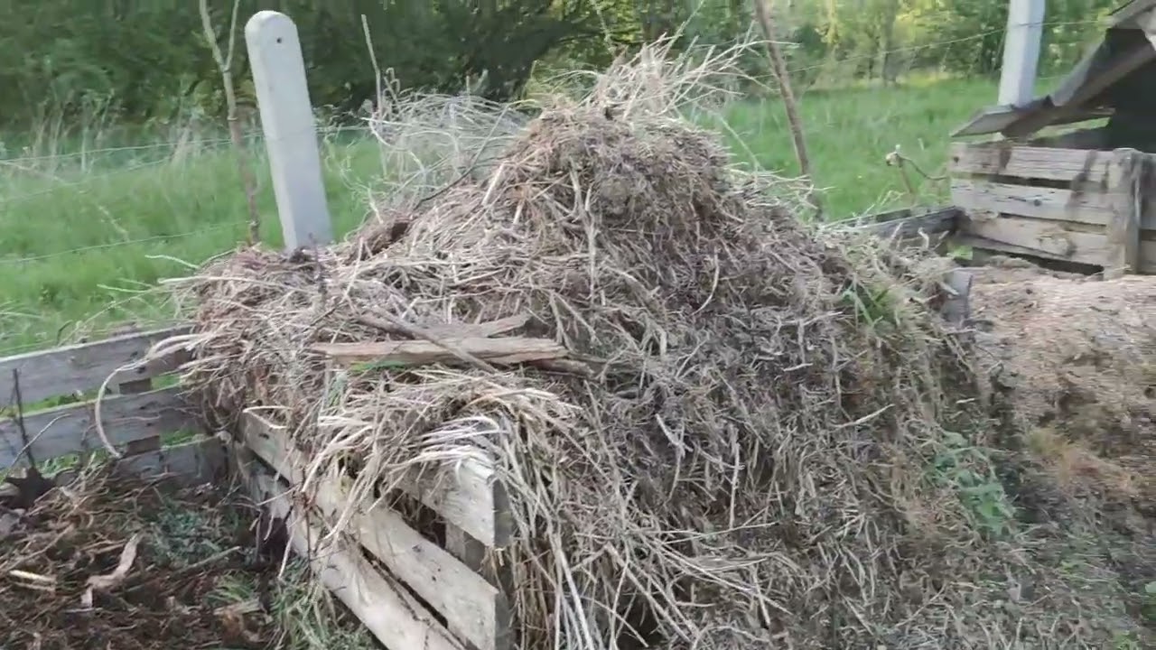 Kompost na zimno vs kompost na gorąco. Czy warto kompostować na zimno? Który kompost jest najlepszy?