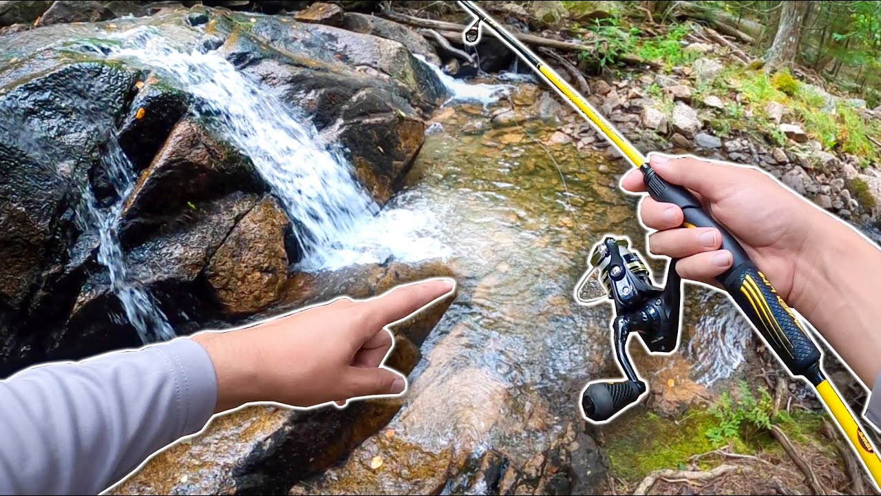 I Waited 26 Years to Catch this Fish!! (Bucket List Dream)