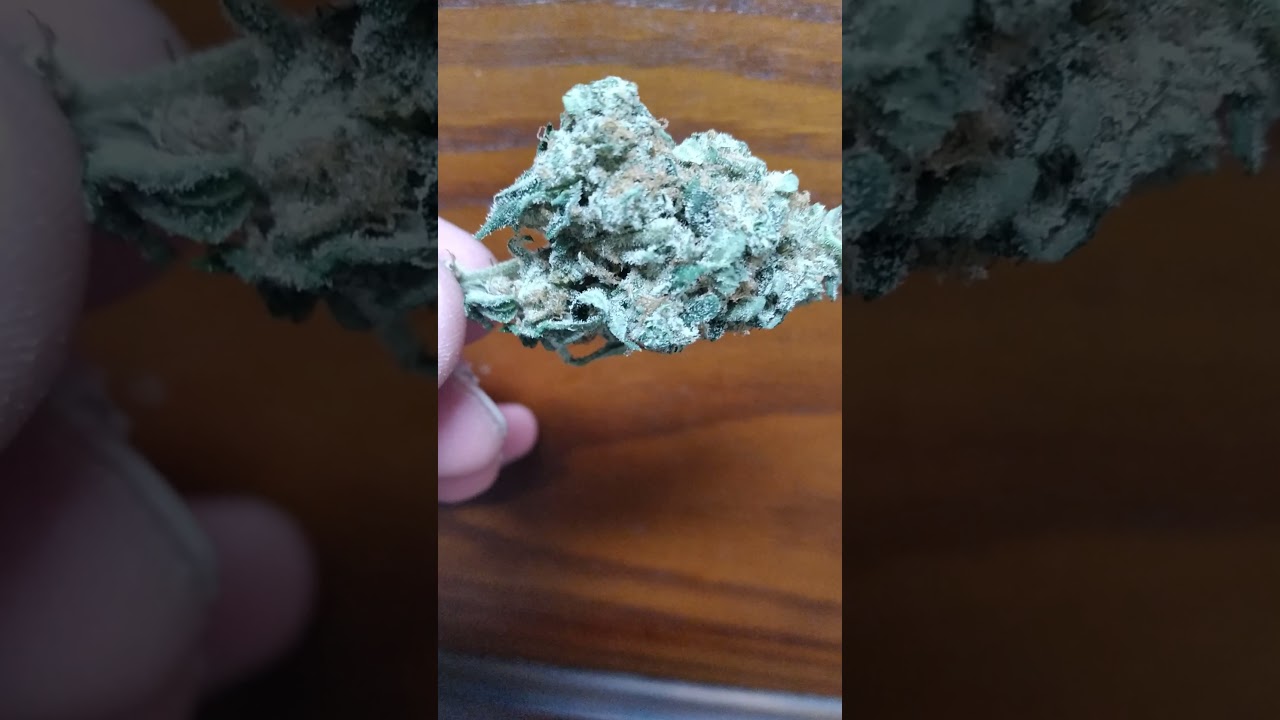 revel critical kush very good smoke #fire #cannabis #8.5