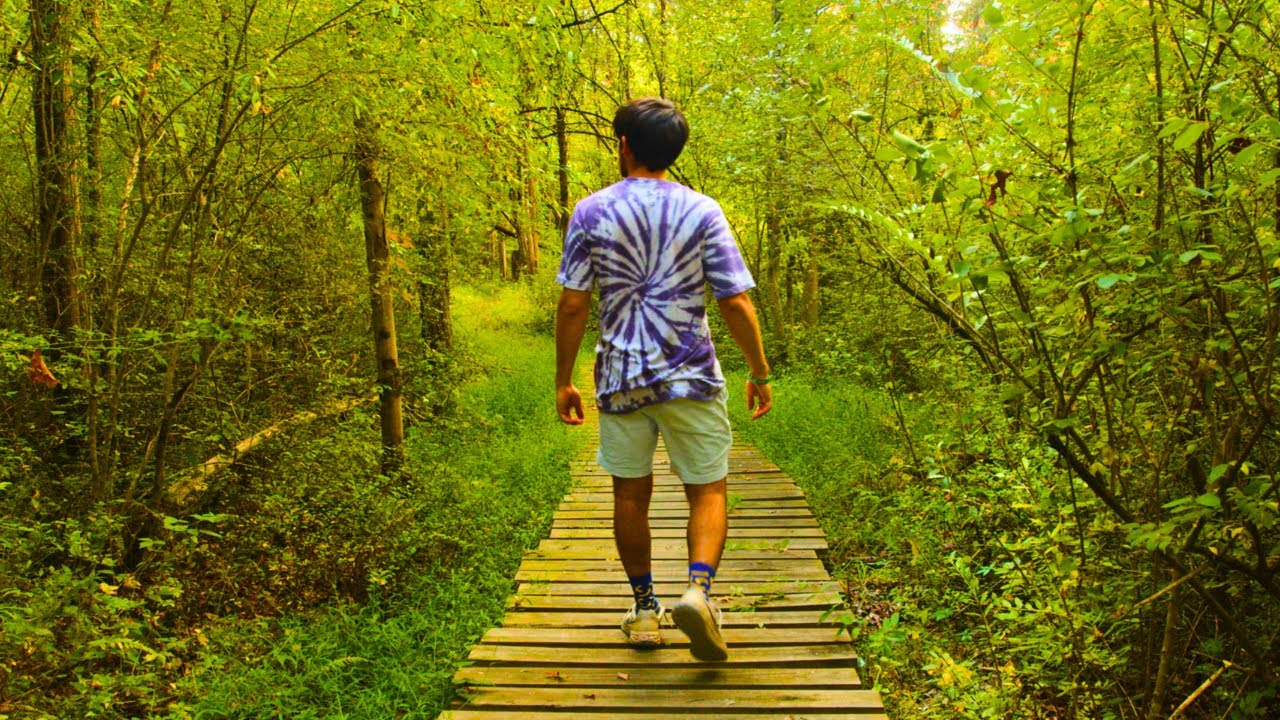 The path will reveal itself, but first you must walk it