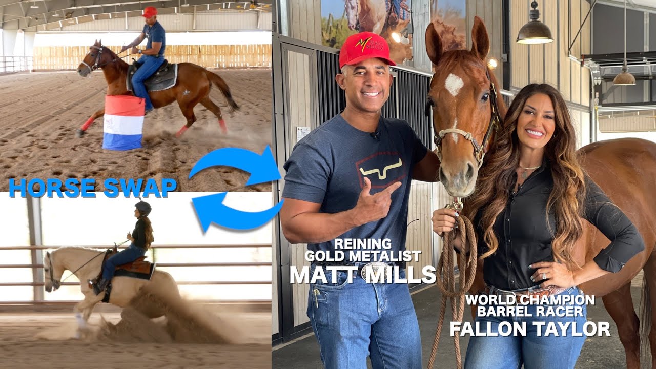 HORSE SWAP WITH MATT MILLS! (REINING VS. BARREL RACING)