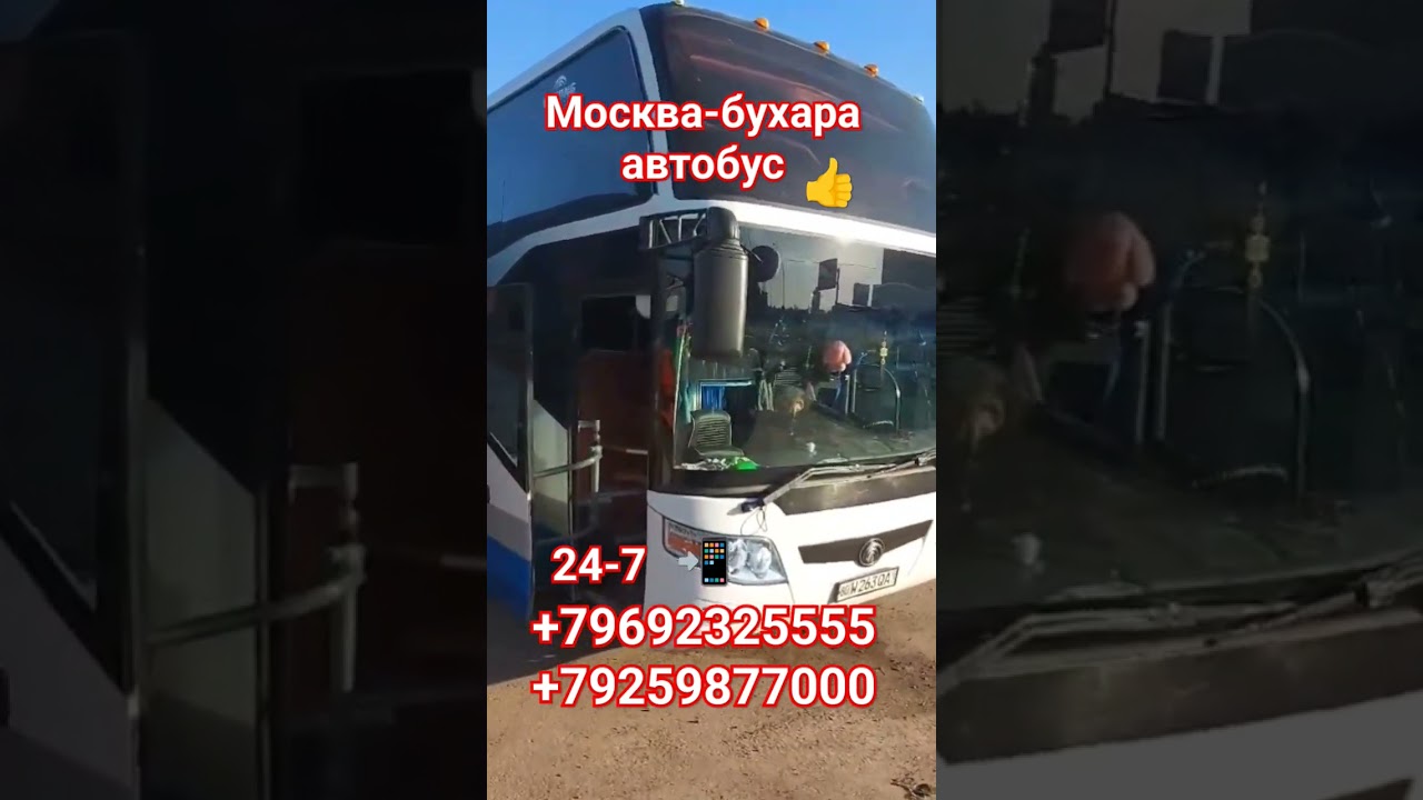 санкт-петербург-москва Бухара автобус 