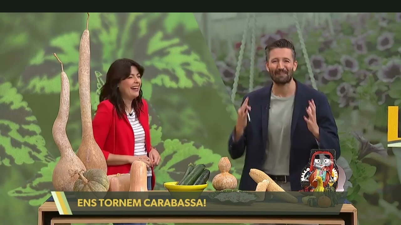 Per novembre, que et donen carabasses!