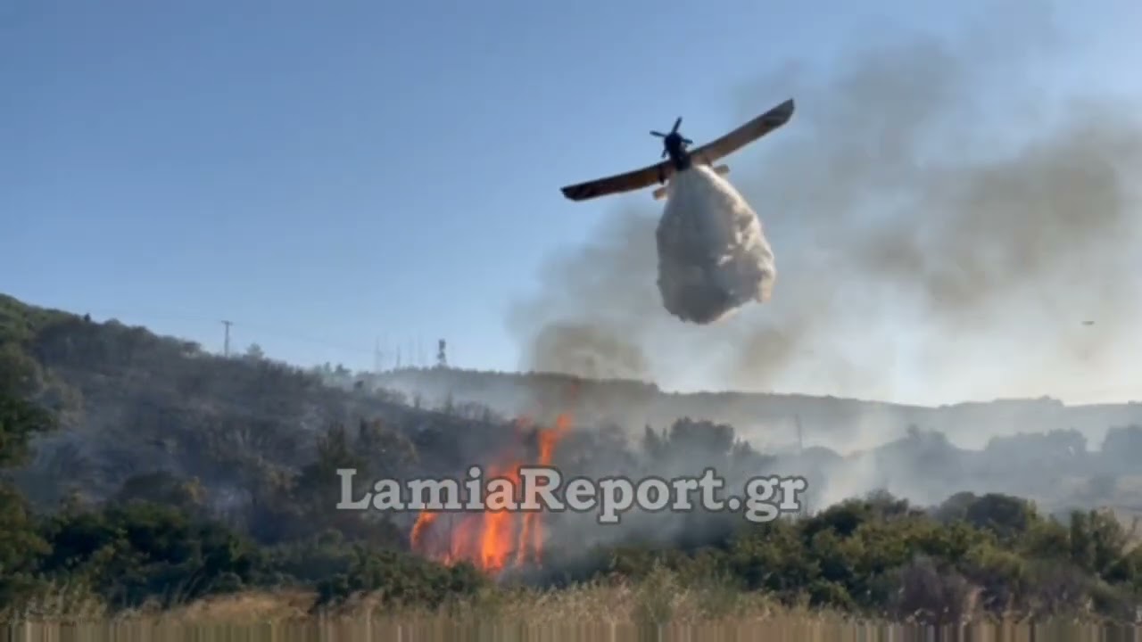 LamiaReport.gr: Ο Ηλίας Σανίδας για την πυρκαγιά στη Λαμία