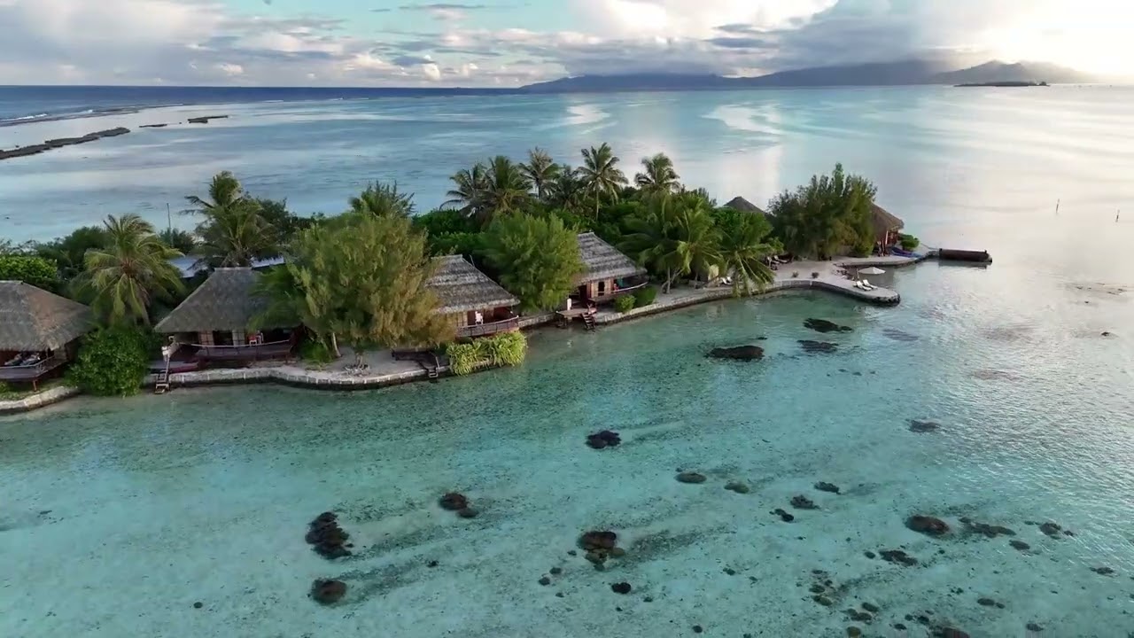 EDEN TAHAA - SILVER OCEAN