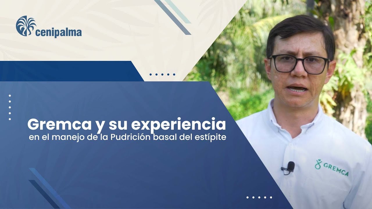 Gremca y su experiencia en el manejo de la Pudrición basal del estípite