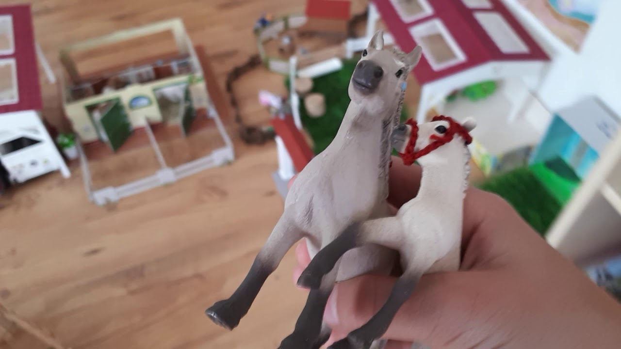 Pferd 🐴ab in deine Box