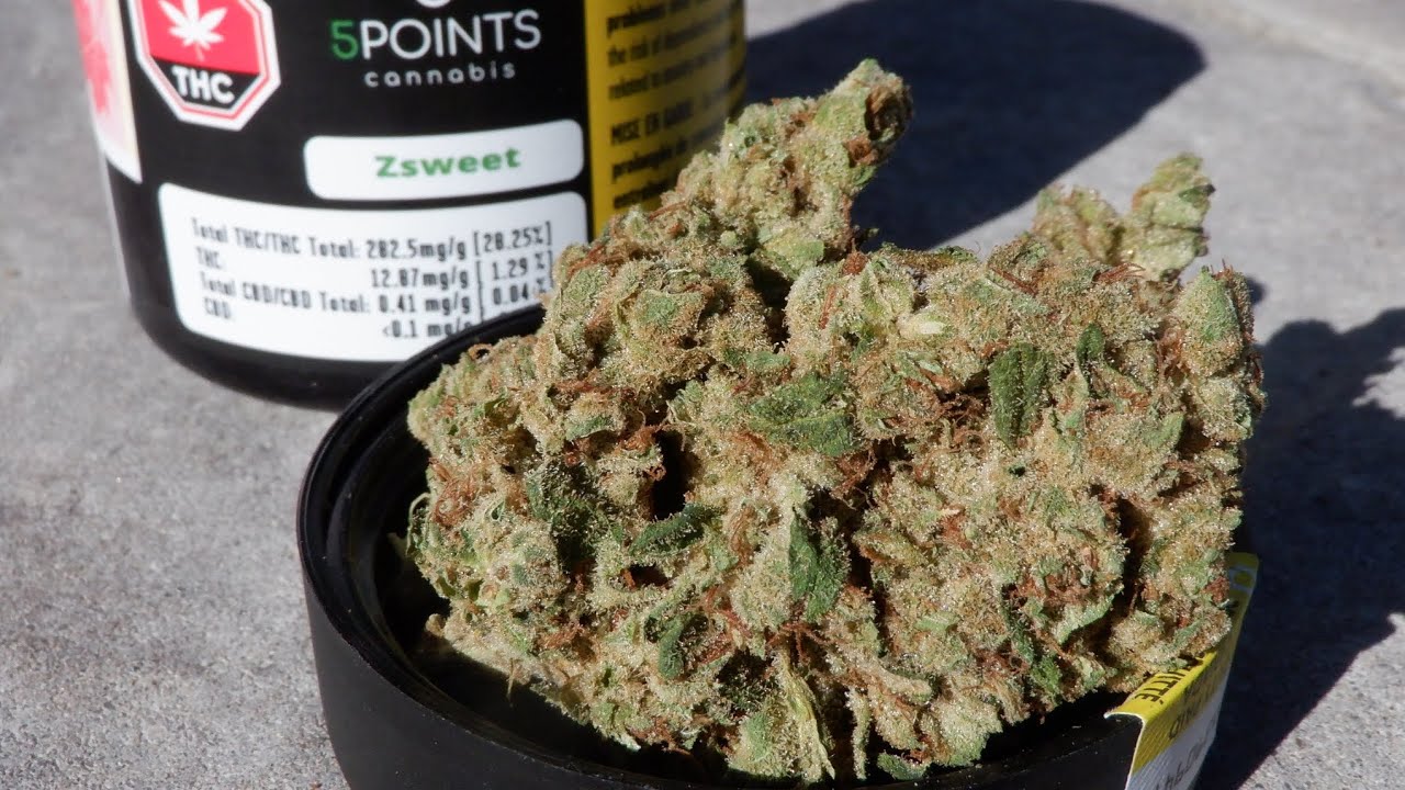 Strain Review Zsweet By 5 Points Cannabis