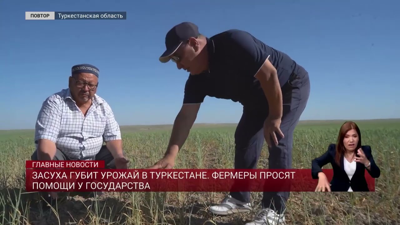 Засуха губит урожай в Туркестане. Фермеры просят помощи у государства