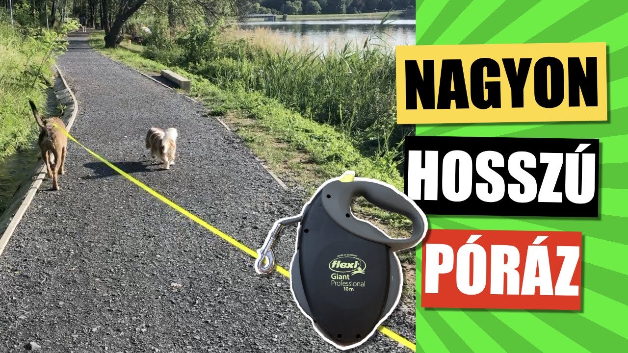 10 m Flexi vs. 5 m Flexi póráz - kipróbáltuk!